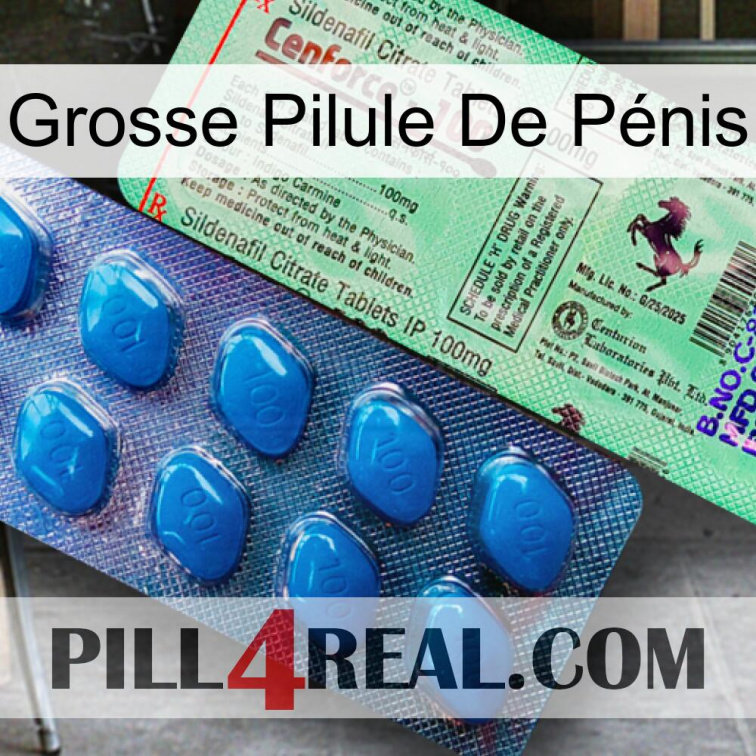 Grosse Pilule De Pénis new02
